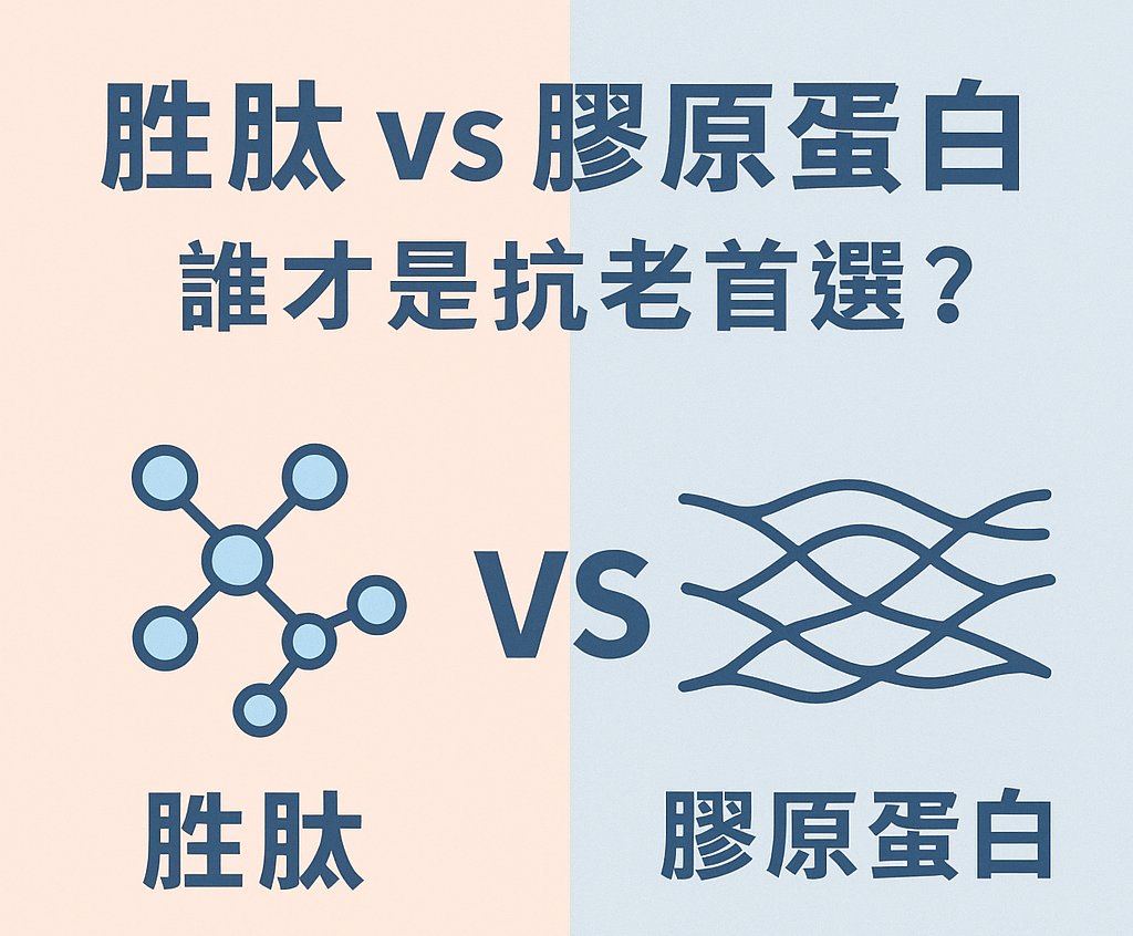 ChatGPT Image 2025年11月21日 上午11 09 59